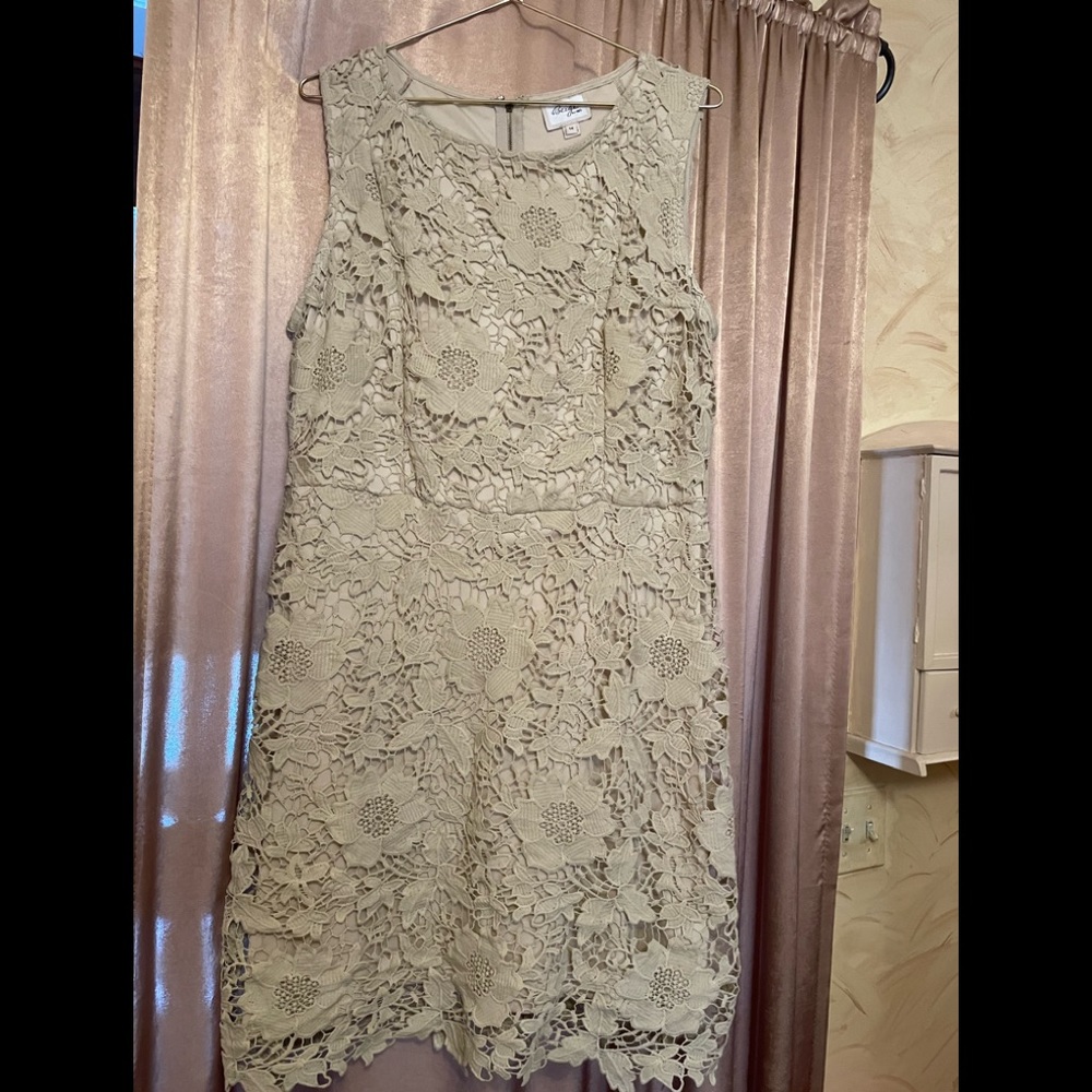 - BCI COTTON COCKTAIL DRESS SIZE 14 LACE